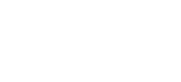 DPR Automatismos logo (white)